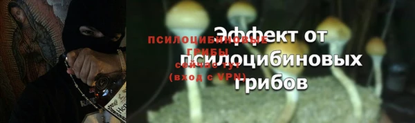 МДПВ Бронницы