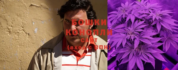экстази Бородино