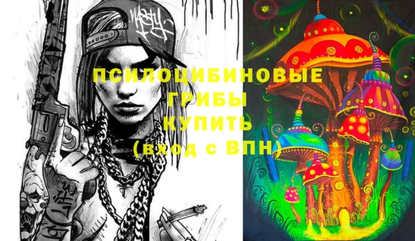 экстази Бородино